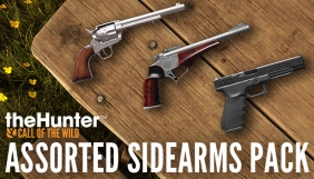theHunter: Call of the Wild™ - Assorted Sidearms Pack Steam Key cover