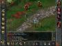 Baldur's Gate PC Digital screenshot 1