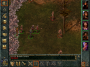 Baldur's Gate PC Digital screenshot 4