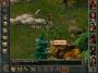 Baldur's Gate PC Digital screenshot 5