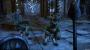 The Elder Scrolls Online: Tamriel Unlimited PC Digital screenshot 5