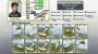 Sid Meier's Ace Patrol Bundle PC Digital screenshot 3